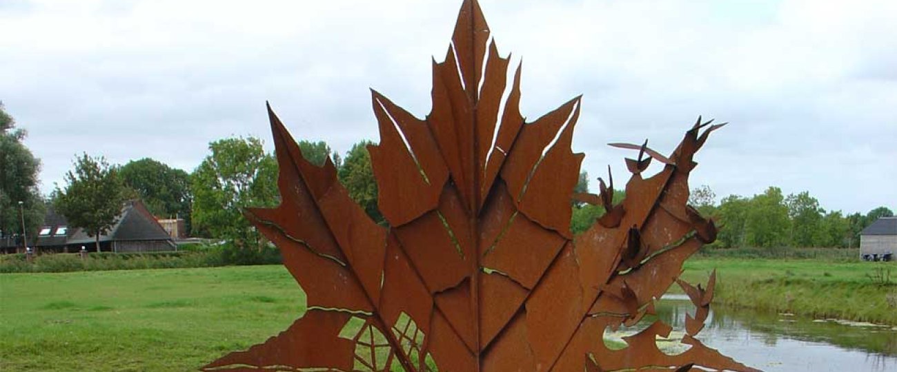het-bevrijdingsbos-groningen-01