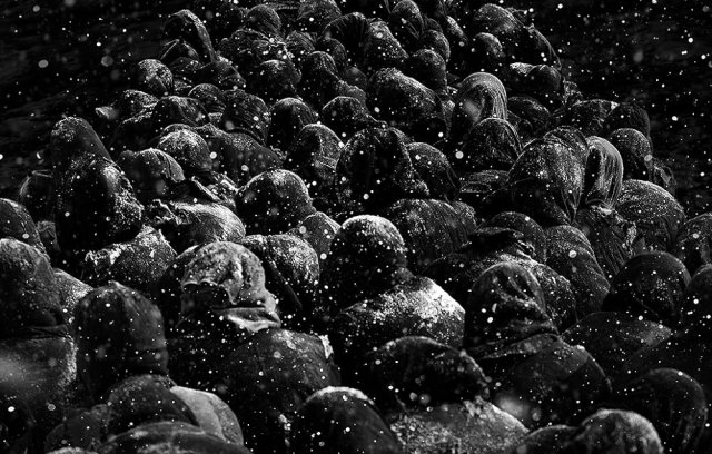 Back to 1942 movie cover