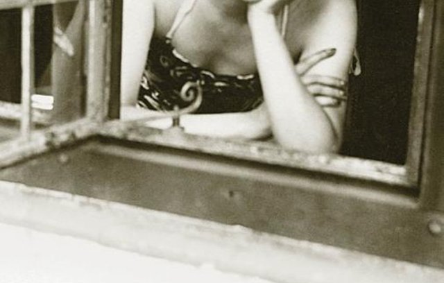 Sabines oorlog book cover