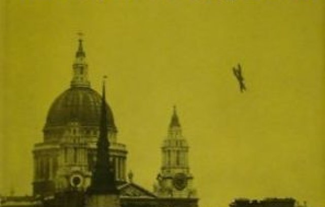 The Doodlebugs: The Story of the Flying Bombs book cover