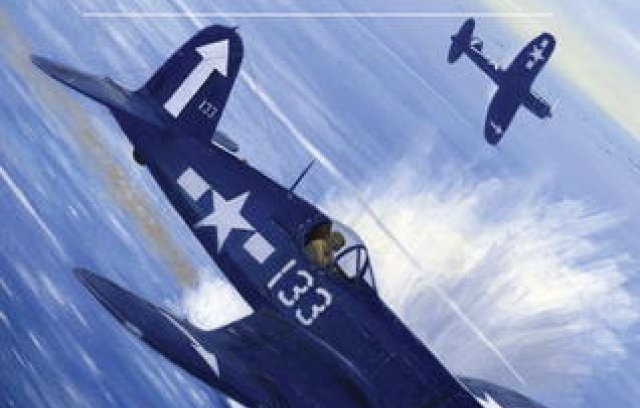 American Aces against the Kamikaze book cover