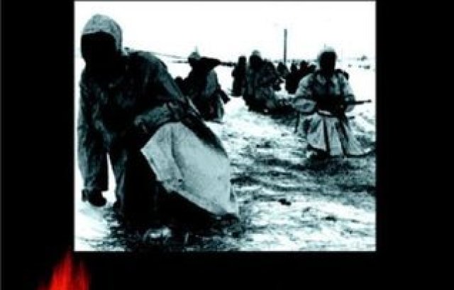 SS-WIKING: The History of the Fifth SS Division 1941-45 book cover