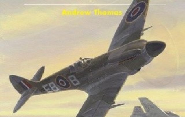 Griffon Spitfire Aces book cover