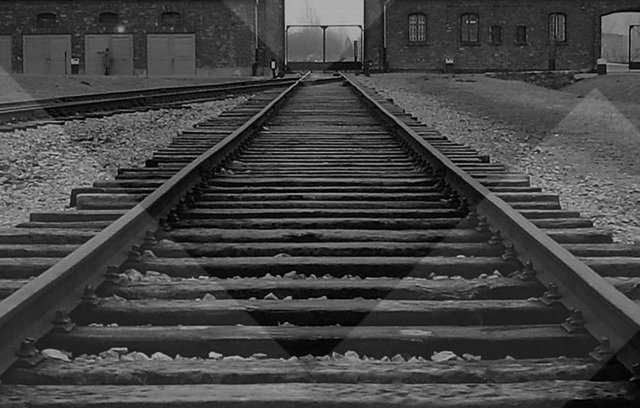 Auschwitz: The Nazis and the Final Solution (2005) cover