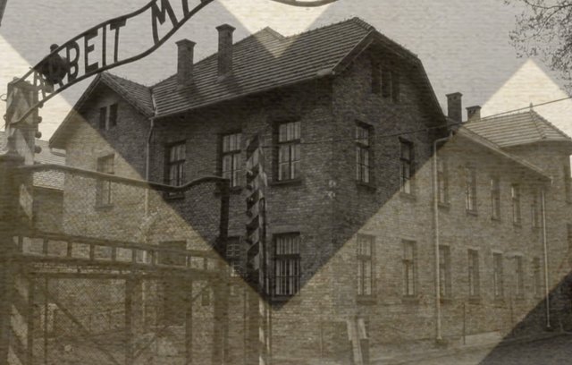 Auschwitz: The Nazis & the 'Final Solution' (2005) cover