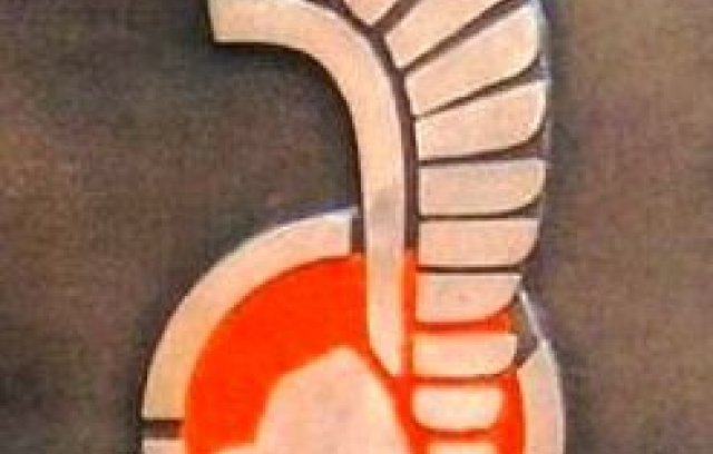 plaque-polish-soldiers-bourtange-02