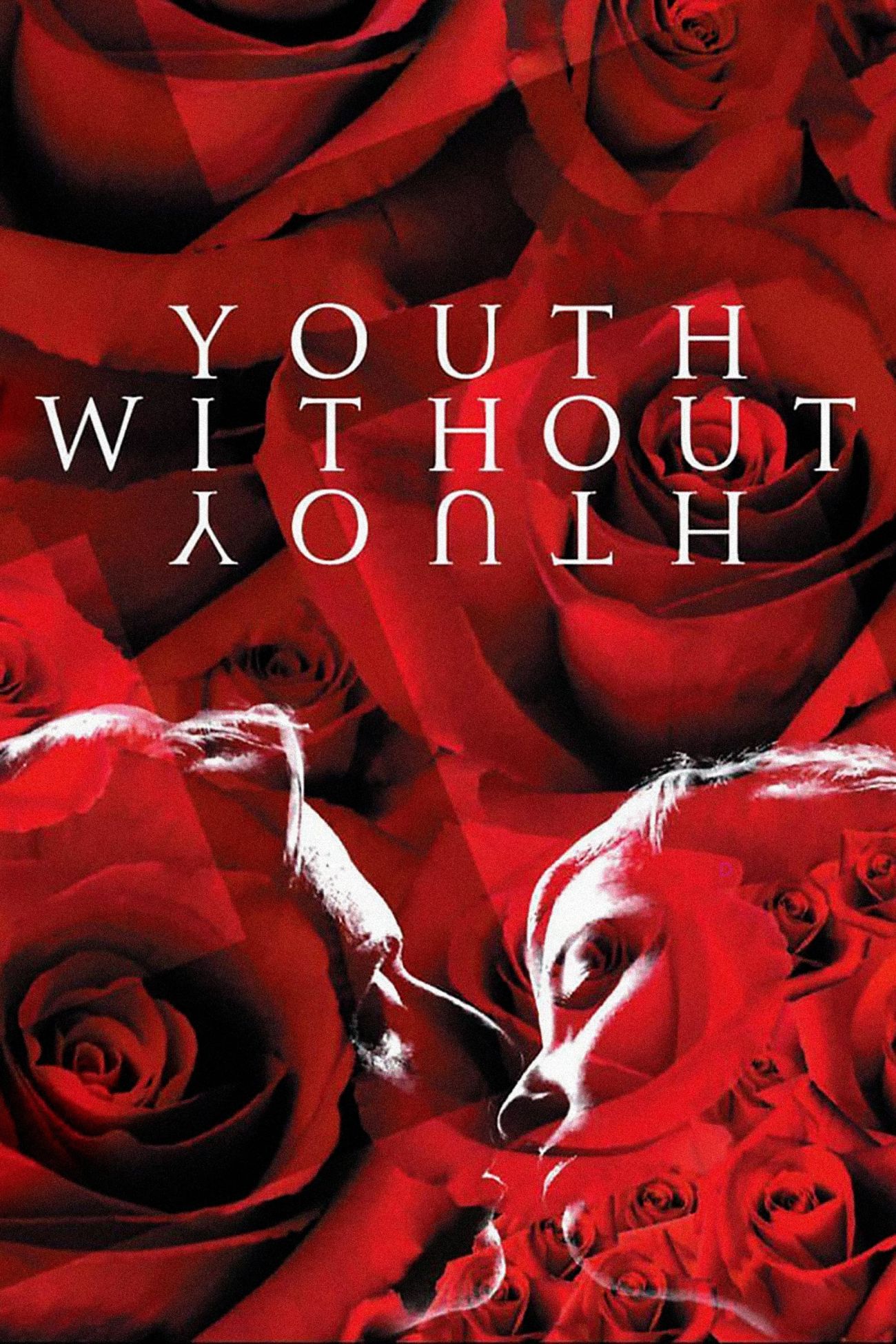  Youth Without Youth (2007) cover