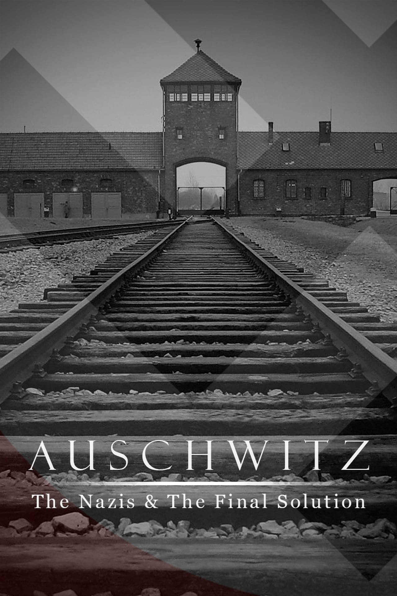 Auschwitz: The Nazis and the Final Solution (2005) cover